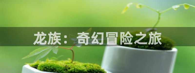 我独自升级漫画下拉式奇漫屋：龙族：奇幻冒险之旅