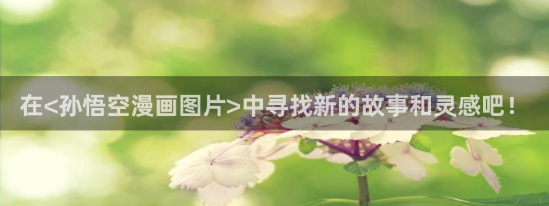 诚信守则漫画下拉式漫画奇漫屋：在<孙悟空漫画图片>中寻找新的故事和灵感吧！