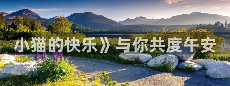 奇漫屋漫画在线：小猫的快乐》与你共度午安