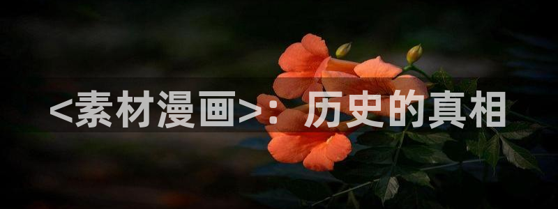 万古最强宗漫画免费下拉式奇漫屋：<素材漫画>：历史的真相