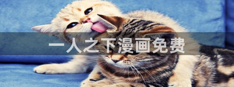 间谍过家家漫画下拉式奇漫屋